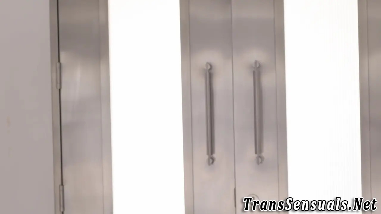 Watch Tgirl fucks dudes ass and gets blowjob Shemale Porn Videos | TranSexBig.