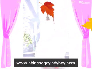 Chinese Shemale Slideshow