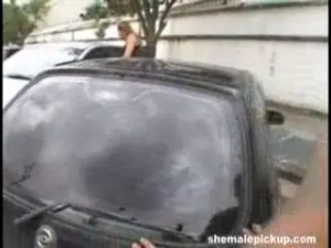 Hot condom sex with a shemale after sucking