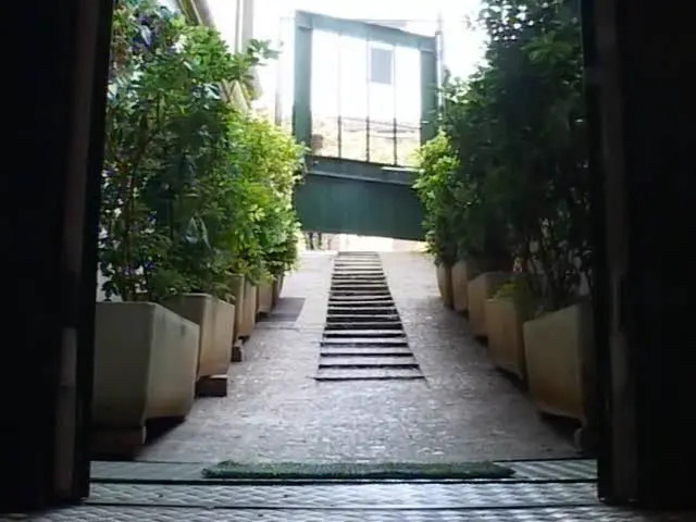 Watch This tranny likes erect dick Shemale Porn Videos | TranSexBig.