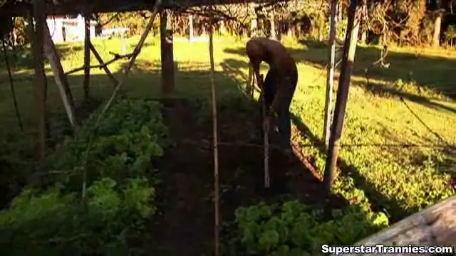 Watch Amazing Carla gets outdoor stuffing Shemale Porn Videos | TranSexBig.