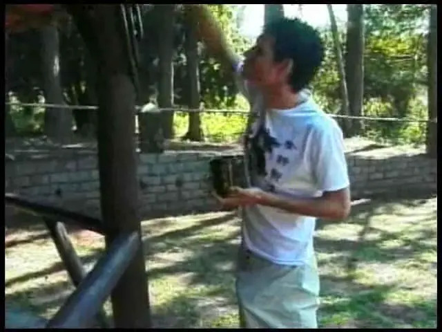 Watch Outdoor sex with a passionate ladyboy Shemale Porn Videos | TranSexBig.