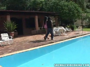 Leggy Latina TS in outdoor madness