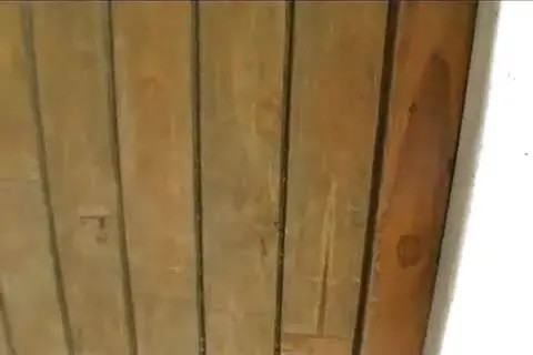 Watch Skilful blond Latina will make you crazy Shemale Porn Videos | TranSexBig.