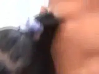 Watch Filthy Shemales Share Hot Guy Shemale Porn Videos | TranSexBig.