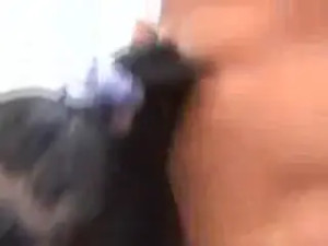 Filthy Shemales Share Hot Guy