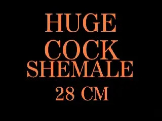 Watch Huge Breasted Tranny & Her Toys Shemale Porn Videos | TranSexBig.