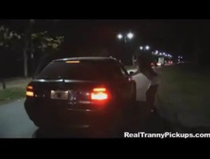 Motel sex with a shemale whore