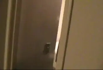 Watch Shameless crossdresser homemade solo Shemale Porn Videos | TranSexBig.