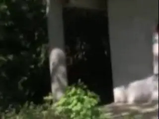 Watch Solo shemale outdoor jerking Shemale Porn Videos | TranSexBig.