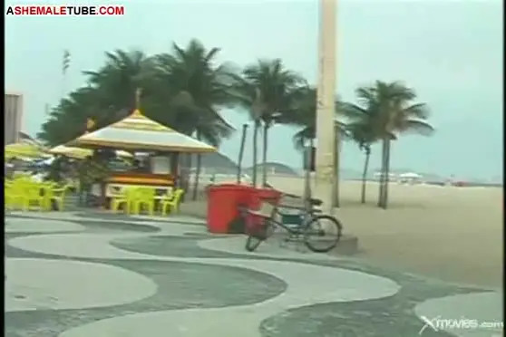 Watch Pump her full of your dick Shemale Porn Videos | TranSexBig.