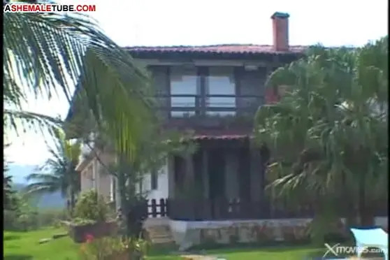 Watch They get to business quickly Shemale Porn Videos | TranSexBig.