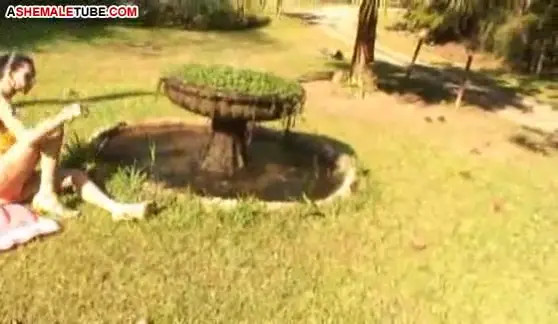 Watch Al Fresco Shemale Fucking Shemale Porn Videos | TranSexBig.