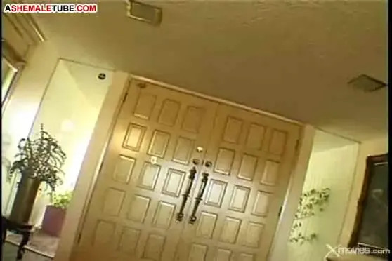 Watch He gets what he wants Shemale Porn Videos | TranSexBig.