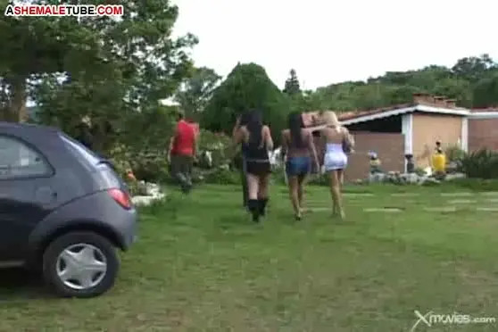 Watch Picnic Backdoor Delights Shemale Porn Videos | TranSexBig.