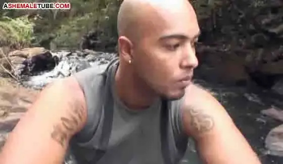 Watch Shemale tourist screw a bald man Shemale Porn Videos | TranSexBig.