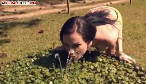 Watch Just a bunch of fucking and sucking Shemale Porn Videos | TranSexBig.