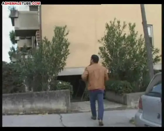 Watch Spanish Shemale Sluts Covered in Cum Shemale Porn Videos | TranSexBig.