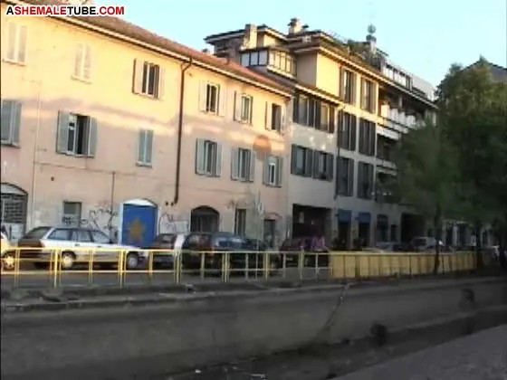 Watch One good turn deserves another Shemale Porn Videos | TranSexBig.