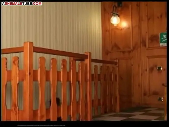 Watch 69 pose for titty ladyboy Shemale Porn Videos | TranSexBig.