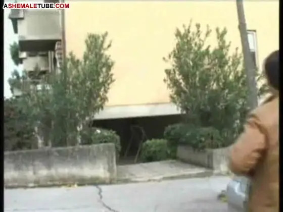 Watch Brazilian T-Babe Sensuality Shemale Porn Videos | TranSexBig.