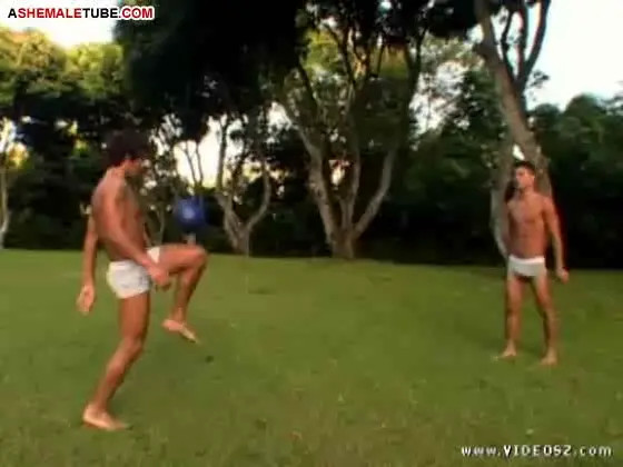 Watch Sizzling Shemale and Mixed Gender Orgy Shemale Porn Videos | TranSexBig.