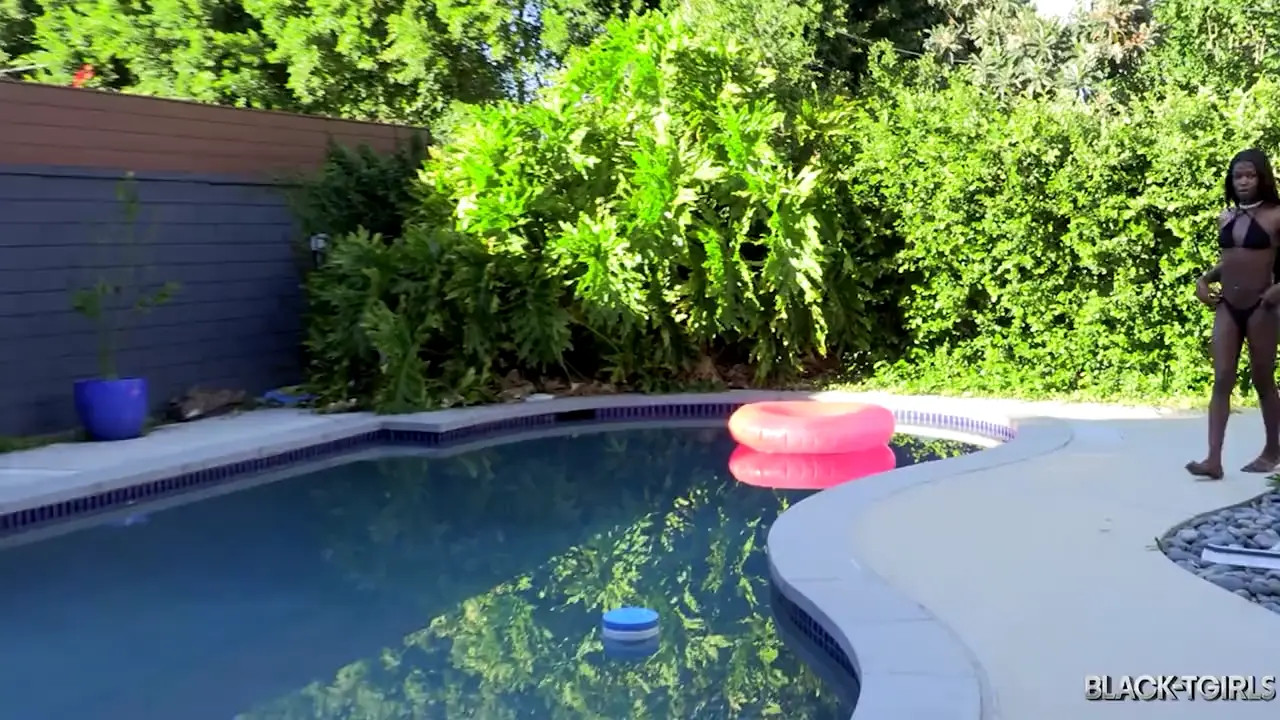 Watch BLACK-TIGLRS: The Last of the Summer Sun Shemale Porn Videos | TranSexBig.