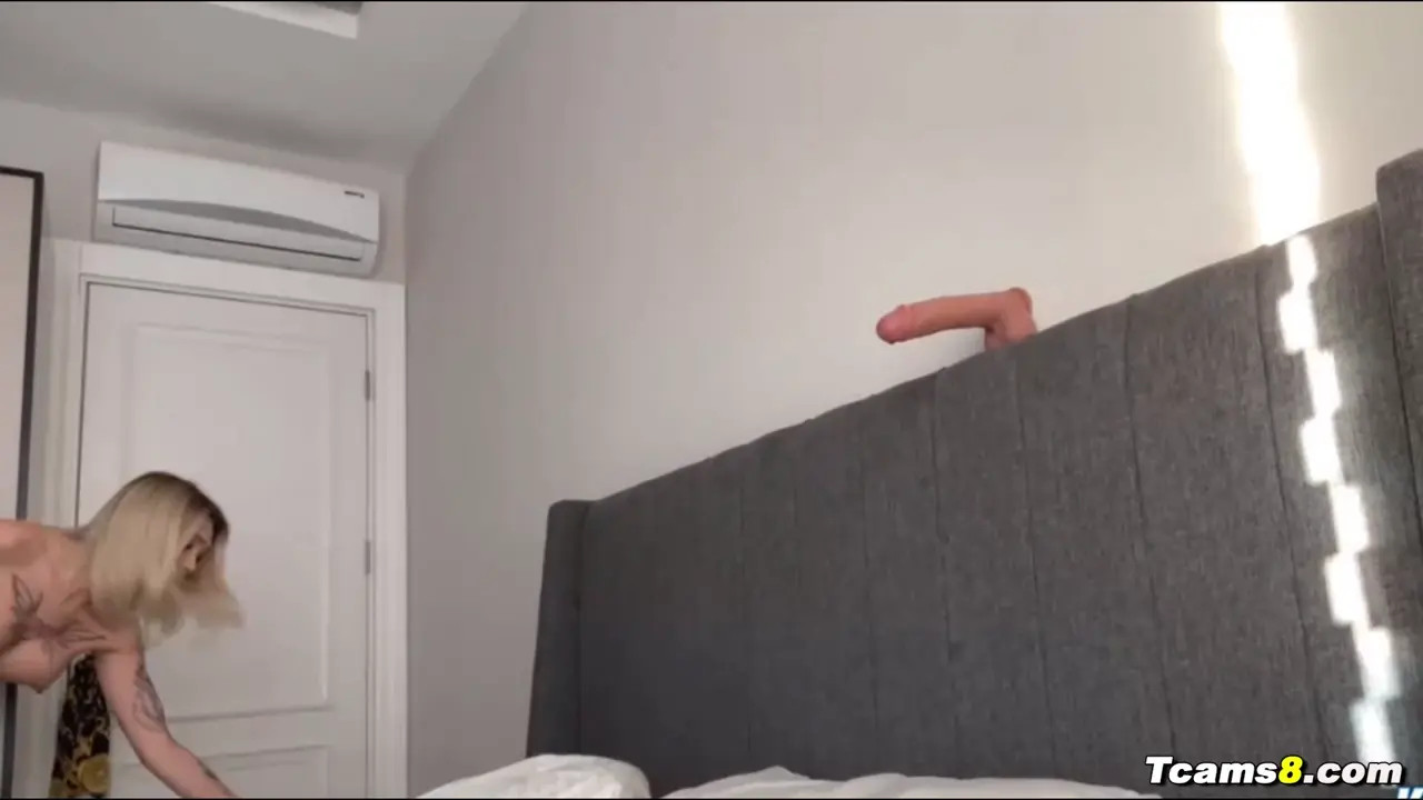 Watch Cute and Hot Shemale Plays with Her Dildo Shemale Porn Videos | TranSexBig.