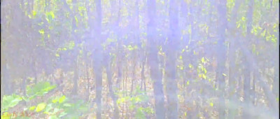 Lady Alice compilation 07 (part 3) Mesmerizing Beauty (mesmerize version), View originals