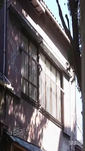 Watch DASS-152 Forbidden Reverse Hole Sex With Male Mother Marina Ikeda Until it Ends Shemale Porn Videos | TranSexBig.