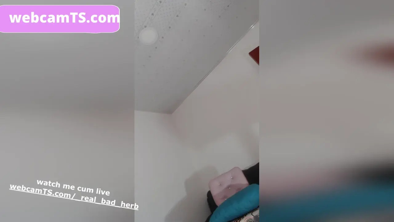 Watch Babe playing with dick LIVE Shemale Porn Videos | TranSexBig.