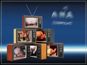 roxys ass collection 2