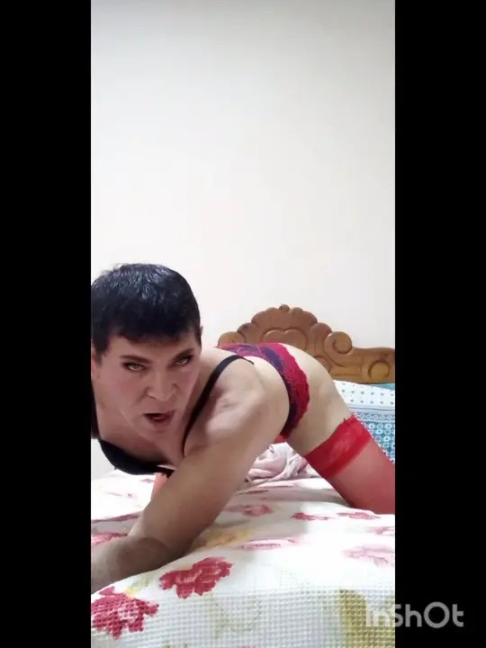 Watch Biancacdzinha travecona Shemale Porn Videos | TranSexBig.