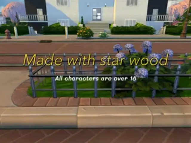 Watch XxX-Audition (futa) Shemale Porn Videos | TranSexBig.