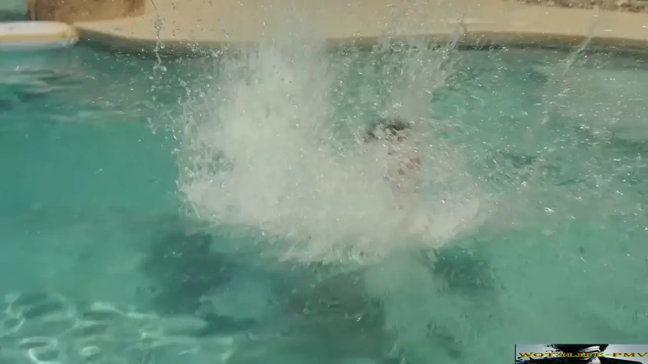 Watch World PMV Games 2024 (TS) - "Rocking Pool Party" [Teaser] Shemale Porn Videos | TranSexBig.