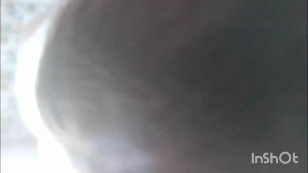 Watch Hypno sissy 7 Shemale Porn Videos | TranSexBig.