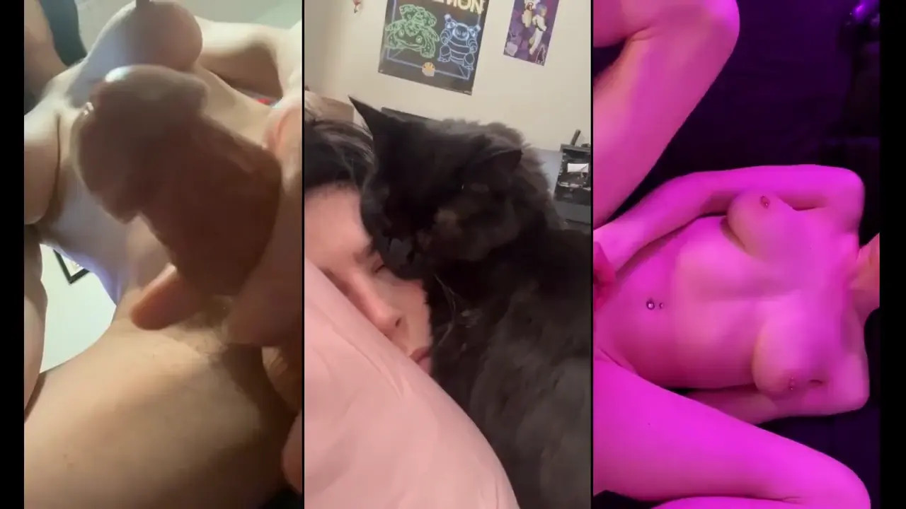 Watch Chanel Noir Vertical Tasting Shemale Porn Videos | TranSexBig.