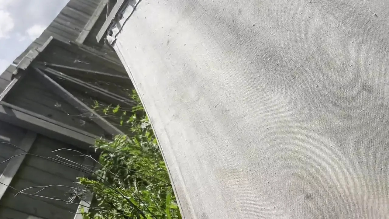 Watch JP Sunflower In Paradise Garden With Sun Shemale Porn Videos | TranSexBig.