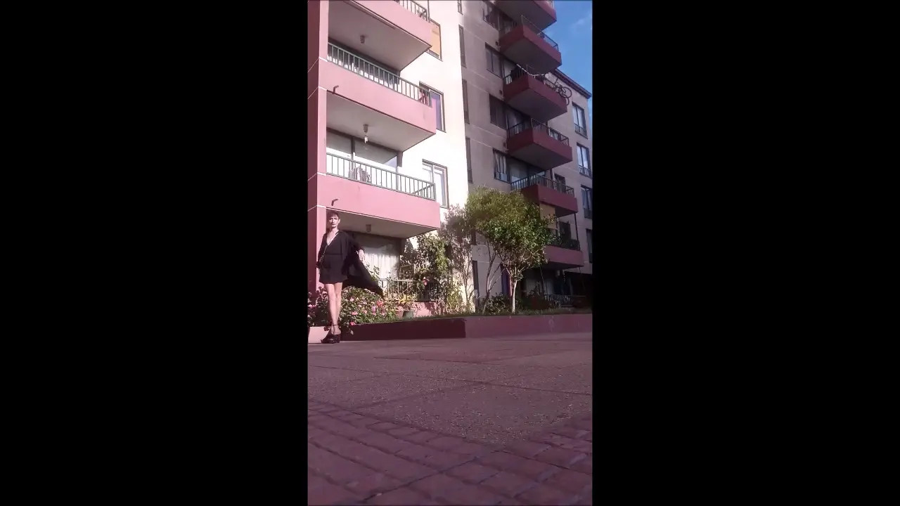 Watch FerLaFemme - BlackBird exposed daylight city flashing (Full pleasure edition) Shemale Porn Videos | TranSexBig.