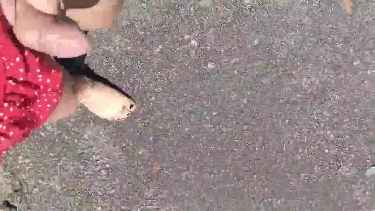 Watch I cum for you Shemale Porn Videos | TranSexBig.