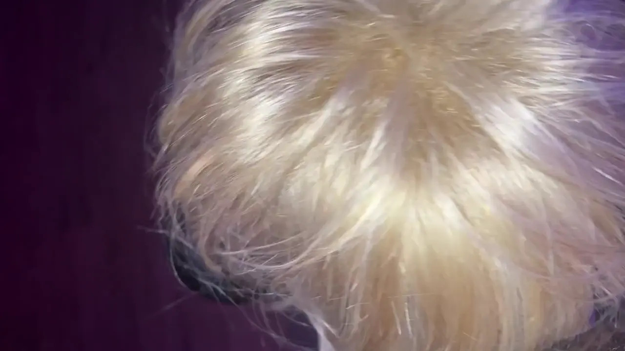 Watch TSPorn Star Dancer Denise Lovail gives first blowjob cums face Shemale Porn Videos | TranSexBig.