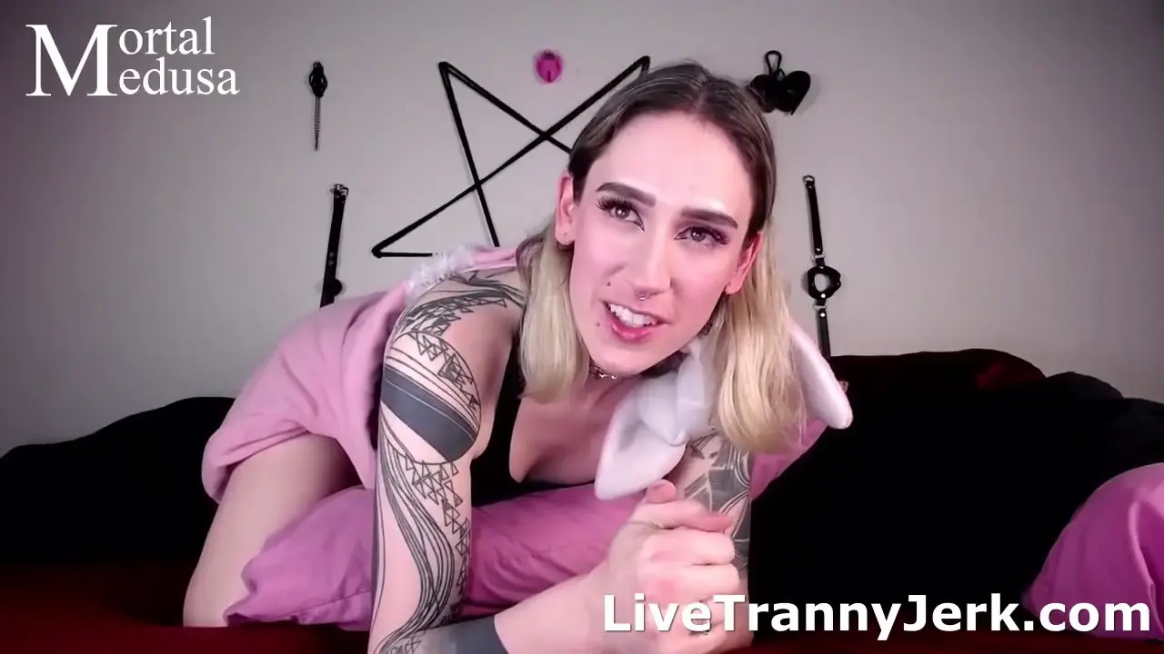 Watch Horny Tranny Jerks on Cam 168 Shemale Porn Videos | TranSexBig.