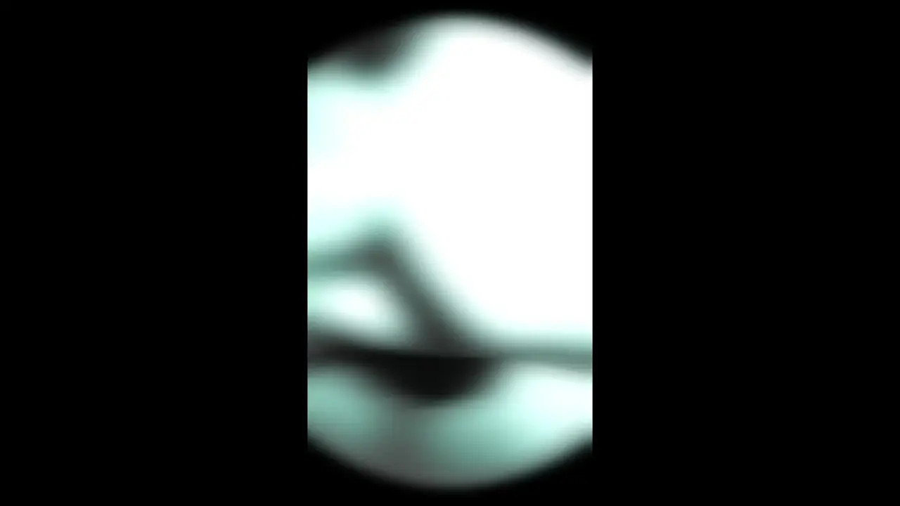 Watch Playing with my dildo Shemale Porn Videos | TranSexBig.