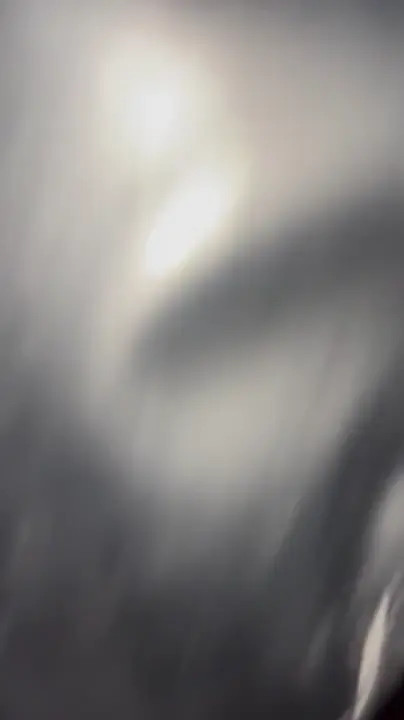 Watch Throat Goat Shemale Porn Videos | TranSexBig.