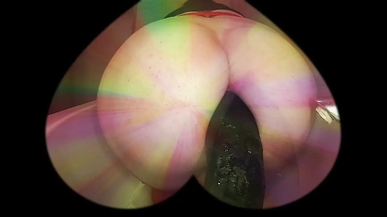 Watch iLOVEbbc Shemale Porn Videos | TranSexBig.