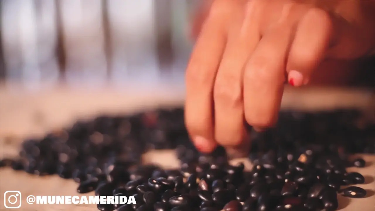 Watch Yucatan The Origin Shemale Porn Videos | TranSexBig.