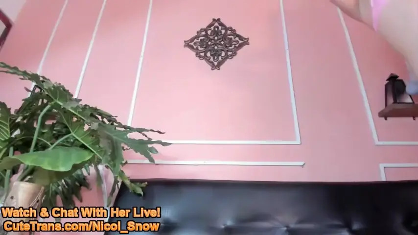 Watch Play With Two Ts Cuties Shemale Porn Videos | TranSexBig.