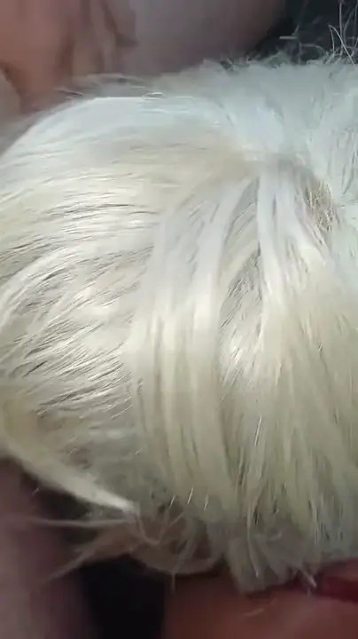 Watch Nella prvé natáčaní ako fajka Shemale Porn Videos | TranSexBig.