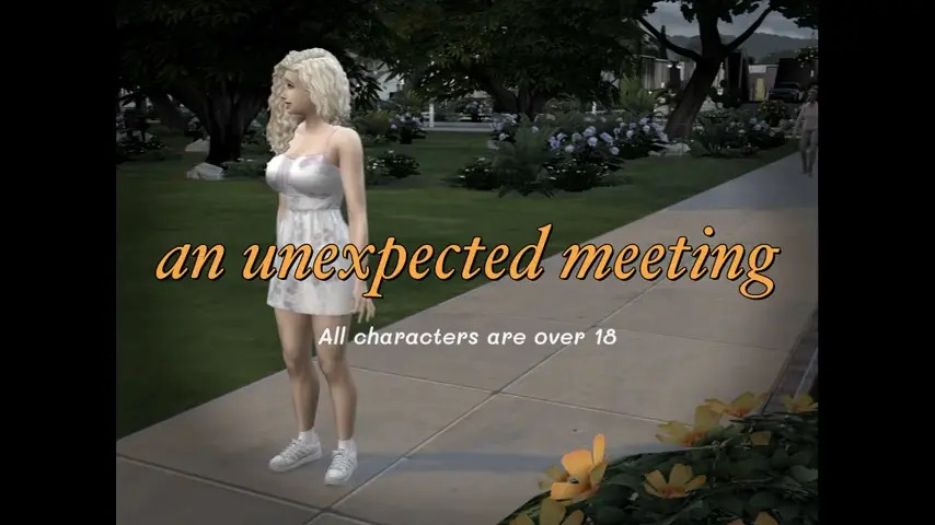 Watch An unexpected meeting (bimbo futa) Shemale Porn Videos | TranSexBig.