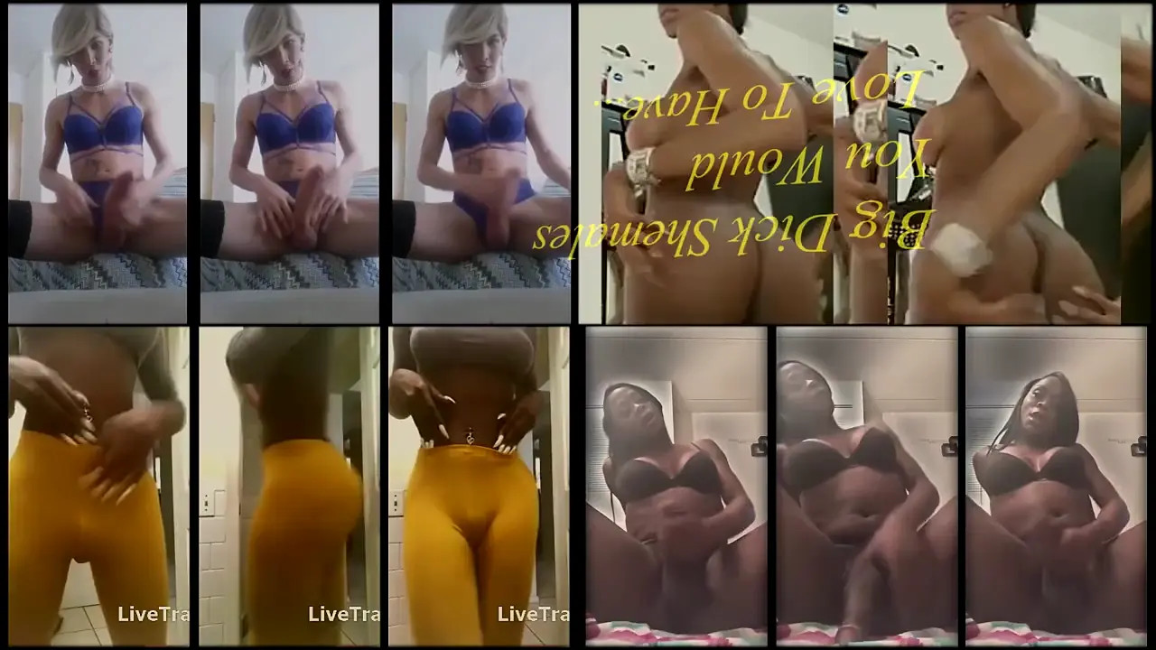 Watch The big dicks Shemale Porn Videos | TranSexBig.
